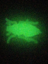 Load image into Gallery viewer, 1/2" maybug, glow