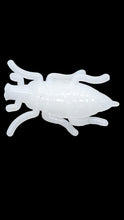 Load image into Gallery viewer, 1/2" maybug, white