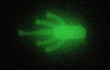 Load image into Gallery viewer, 3/4" Mini Duster