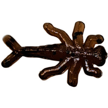 Load image into Gallery viewer, 1/2" itsy bitsy, brown w/black fleck
