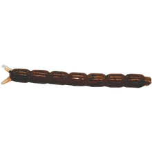 Load image into Gallery viewer, 1" bloodworm, brown w/black fleck