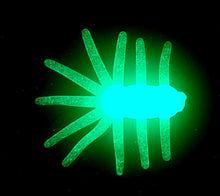 Load image into Gallery viewer, ice spider, glow