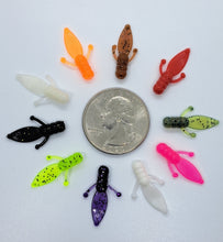 Load image into Gallery viewer, 0.75" Ice Beavers, multiple colors available