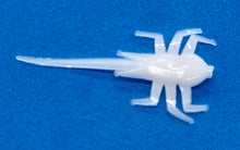 Load image into Gallery viewer, 1" spider mite, white