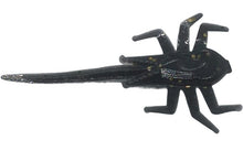 Load image into Gallery viewer, 1" spider mite, black with gold fleck