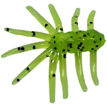 Load image into Gallery viewer, ice spider, firetiger