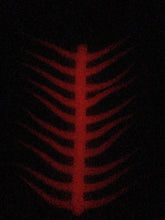Load image into Gallery viewer, 1.25&quot; Wedgees, Glow Red (Version #3)
