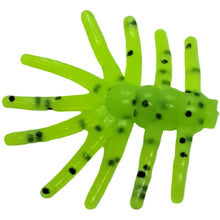 Load image into Gallery viewer, 0.625&quot; Mini Spiders, firetiger

