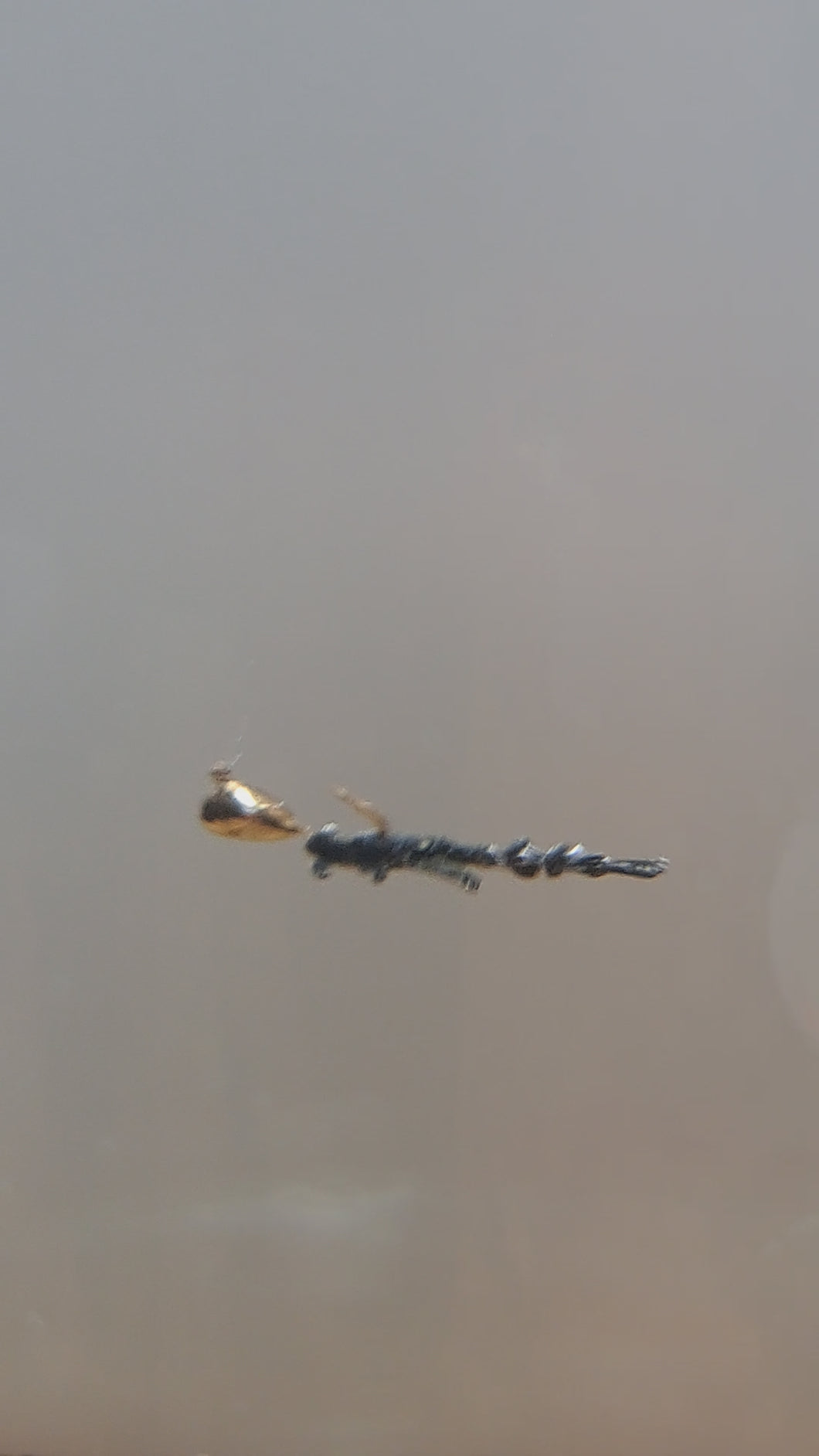 0.75