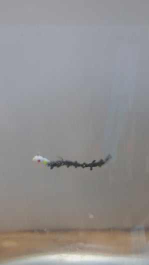 1" ribbon worm, video demonstration