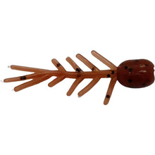 Load image into Gallery viewer, 0.75&quot; skeleton bug, brown with black fleck
